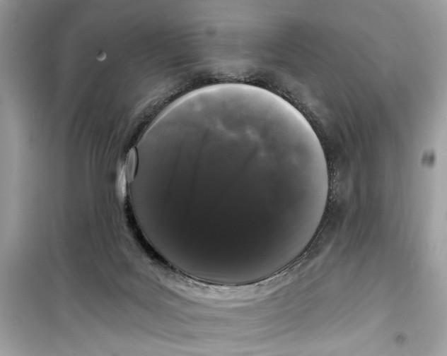 X0000099300027200805231351