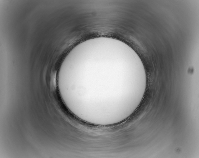 X0000099300028200805231351