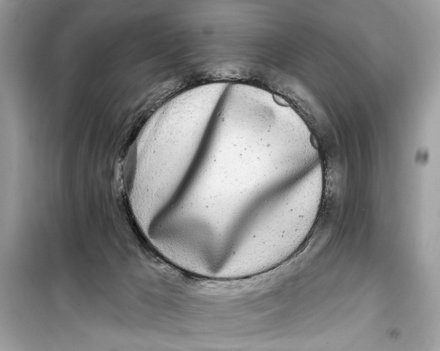 X0000099300029200805231351