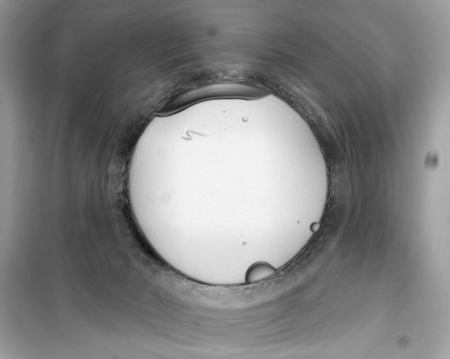 X0000099300030200805231351