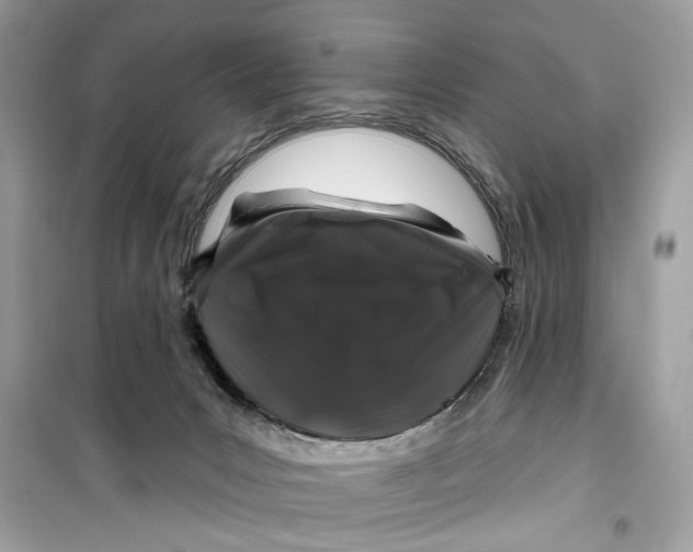 X0000099300031200805231351