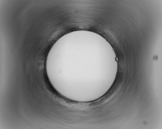 X0000099300032200805231351