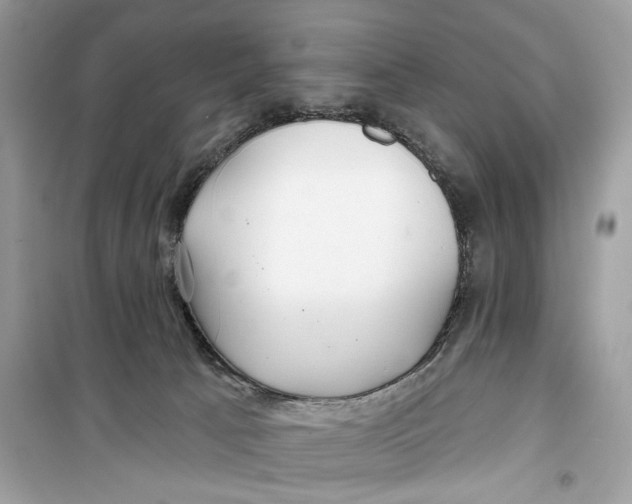 X0000099300033200805231351