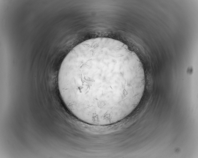 X0000099300034200805231351