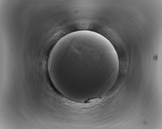 X0000099300035200805231351