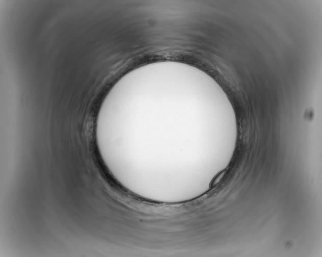 X0000099300036200805231351