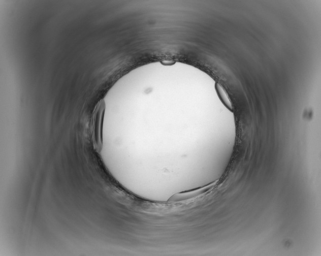 X0000099300037200805231351