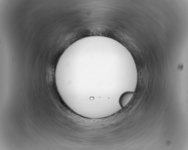 X0000099300038200805231351