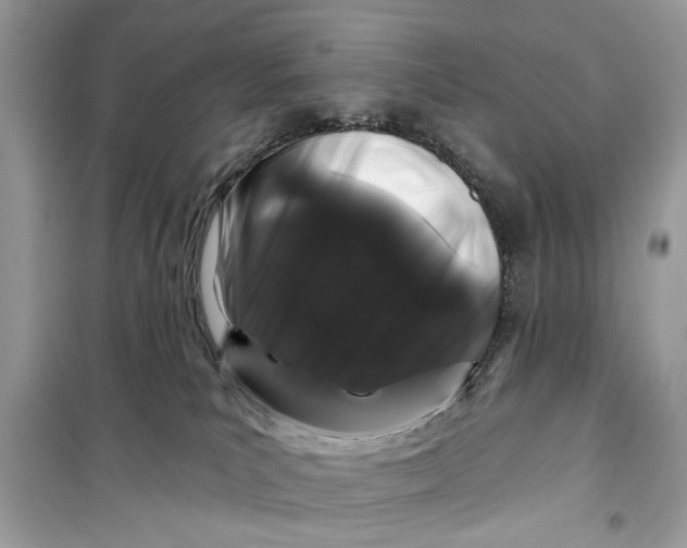 X0000099300039200805231351