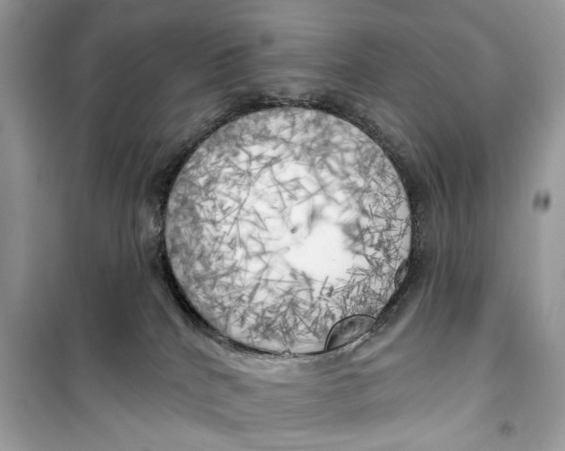 X0000099300040200805231351