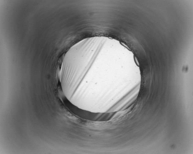 X0000099300041200805231351