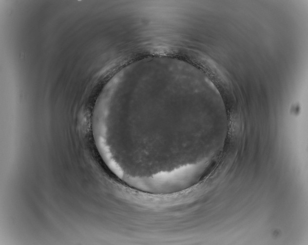 X0000099300043200805231351