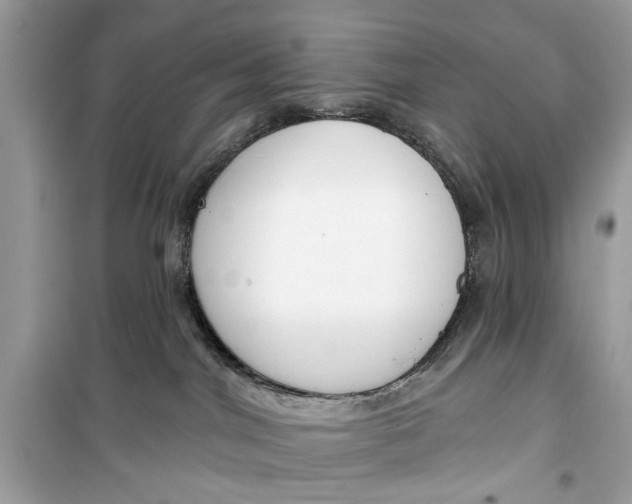 X0000099300044200805231351