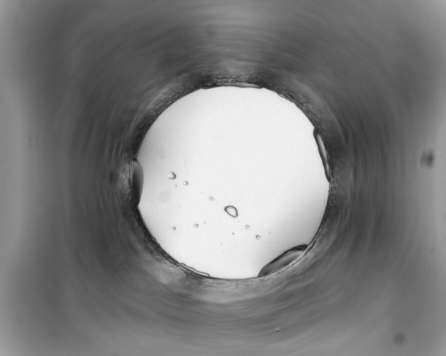 X0000099300045200805231351