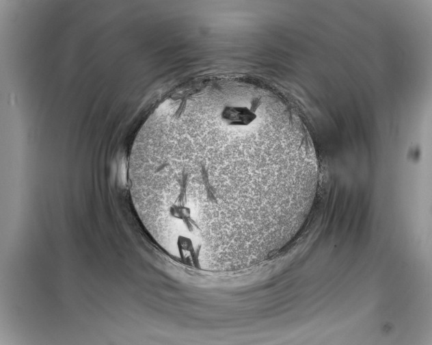 X0000099300046200805231351