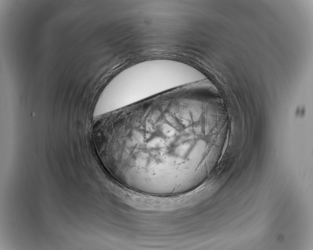 X0000099300048200805231351