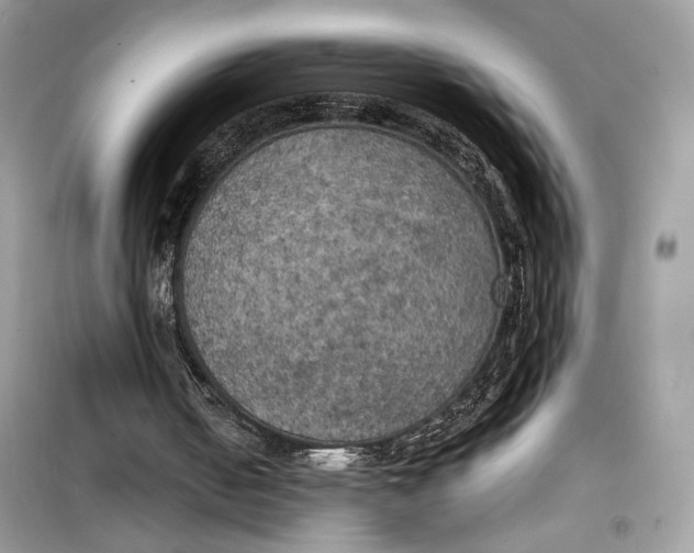 X0000099300050200805231351