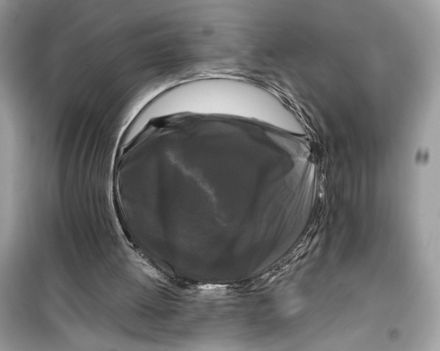 X0000099300052200805231351