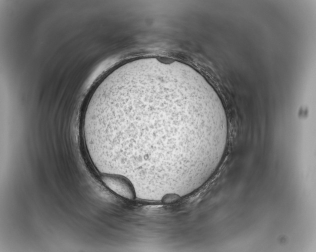 X0000099300054200805231351