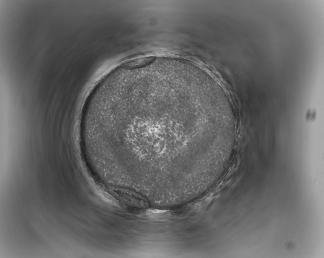 X0000099300055200805231351