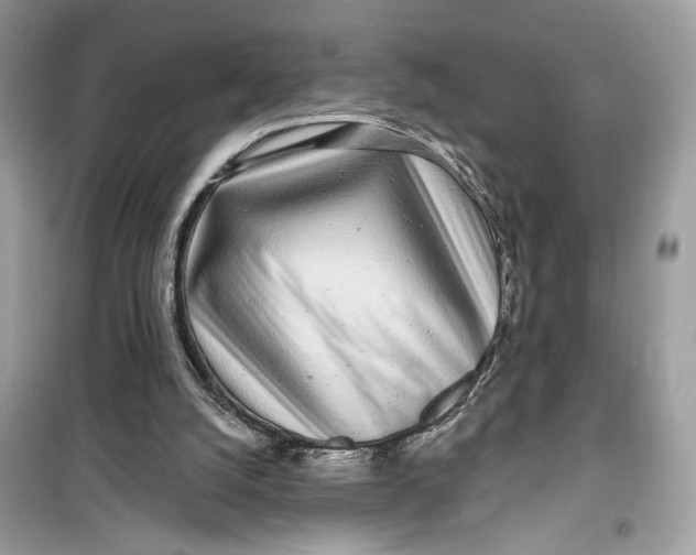 X0000099300056200805231351