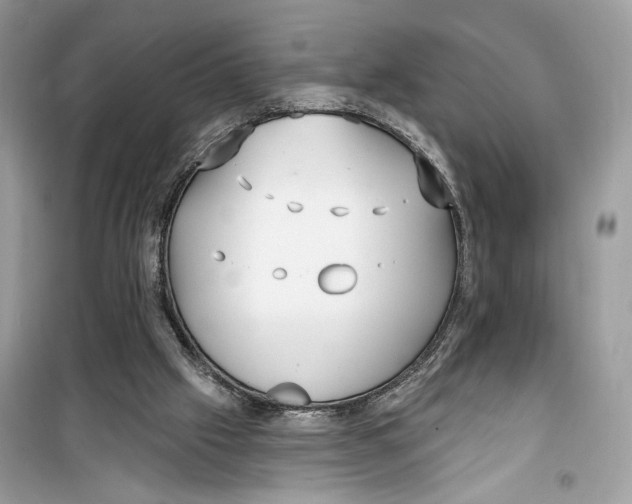 X0000099300057200805231351