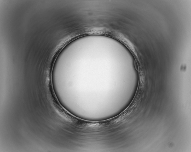 X0000099300059200805231351