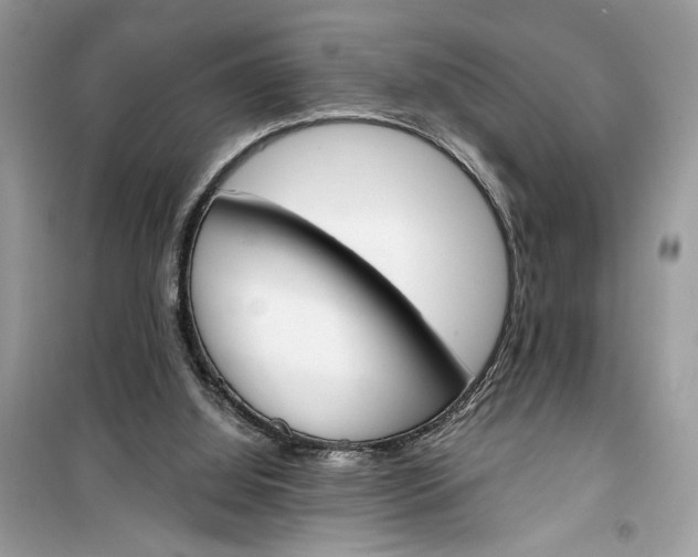 X0000099300060200805231351