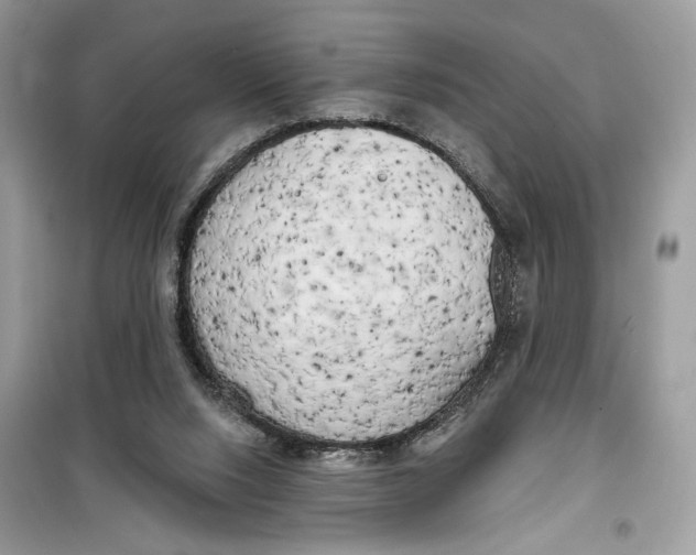 X0000099300064200805231351