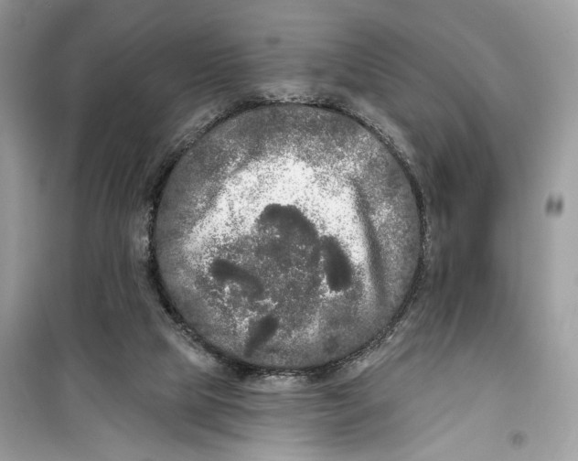 X0000099300065200805231351