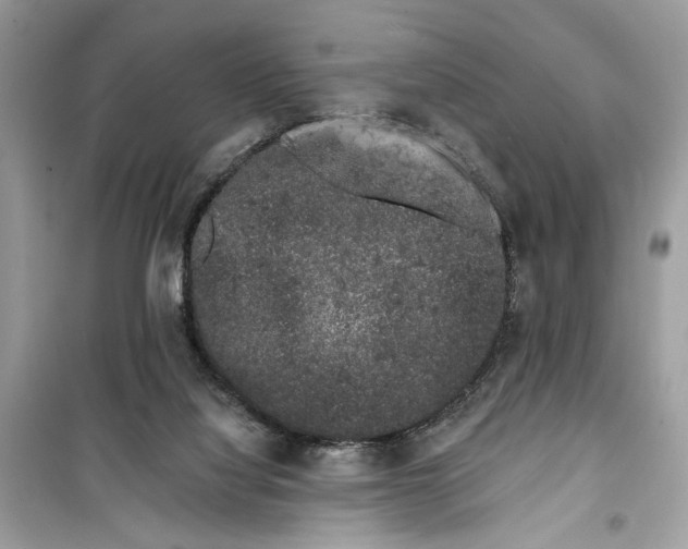 X0000099300068200805231351