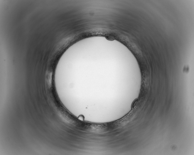 X0000099300070200805231351