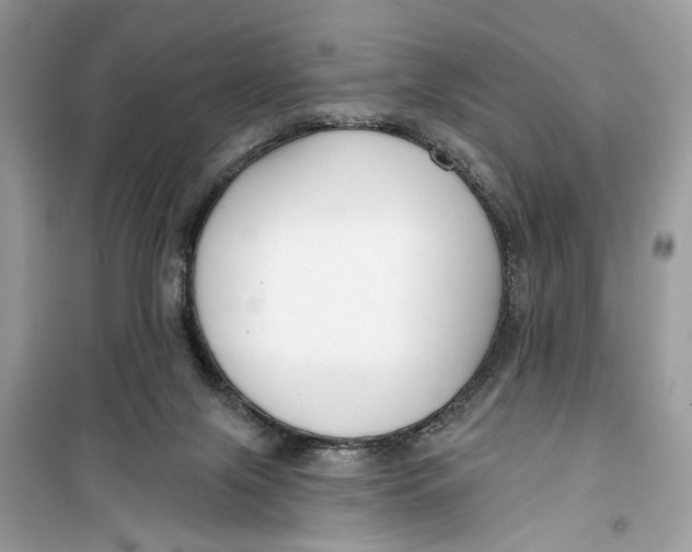 X0000099300071200805231351