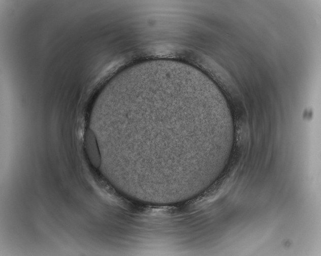 X0000099300072200805231351