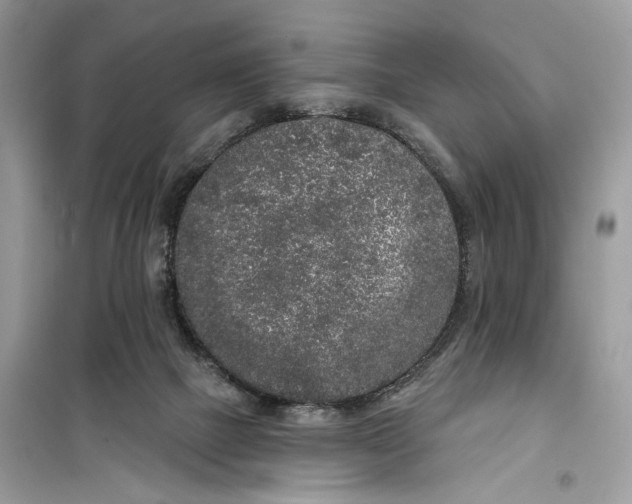 X0000099300073200805231351