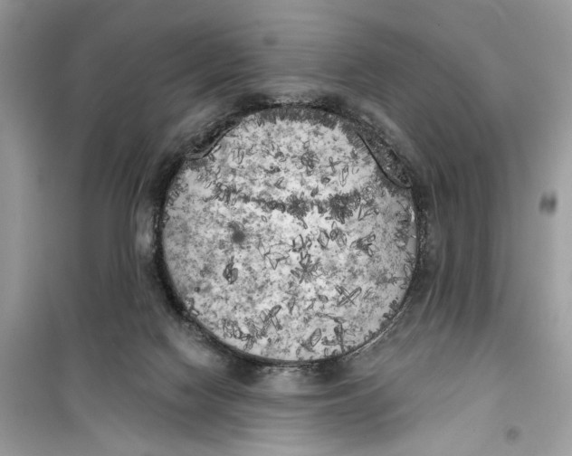 X0000099300074200805231351