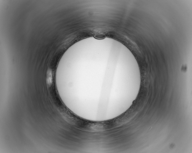 X0000099300075200805231351