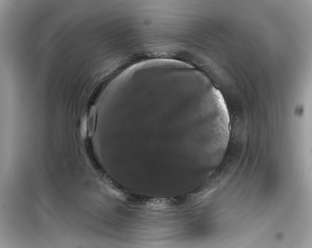 X0000099300076200805231351