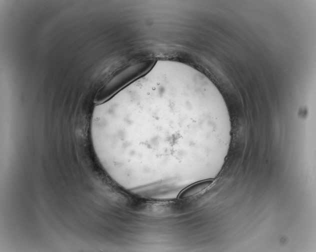 X0000099300078200805231351