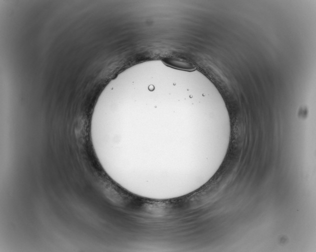 X0000099300079200805231351