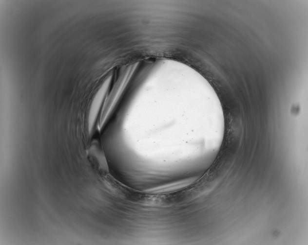 X0000099300080200805231351