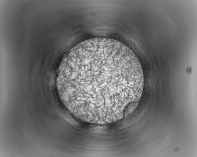 X0000099300081200805231351