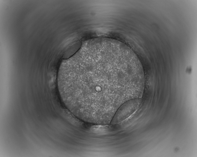 X0000099300082200805231351