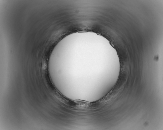 X0000099300084200805231351