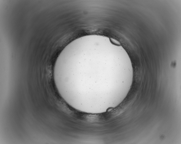 X0000099300085200805231351