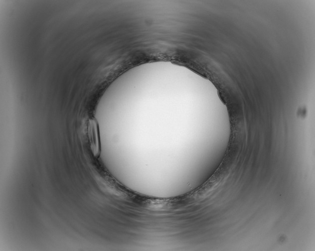 X0000099300088200805231351