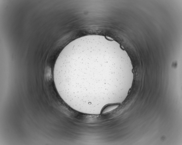 X0000099300089200805231351