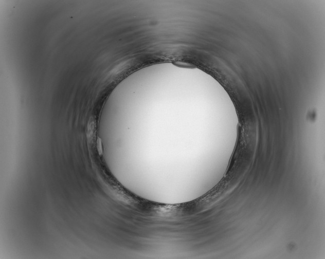 X0000099300092200805231351