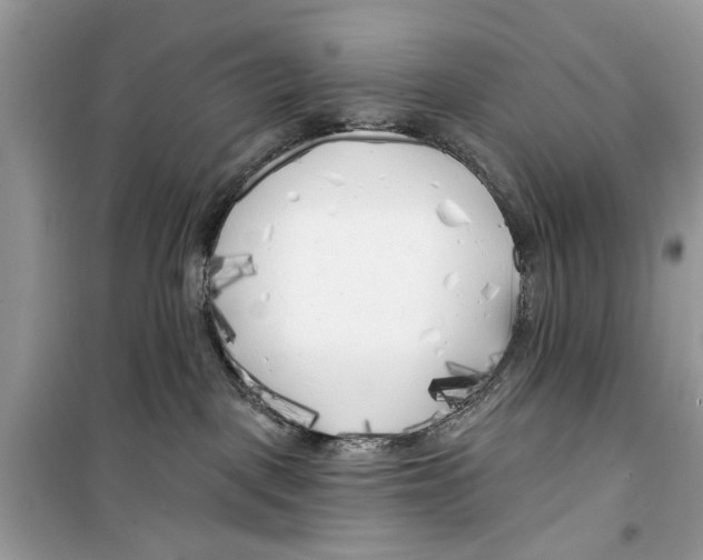 X0000099300093200805231351