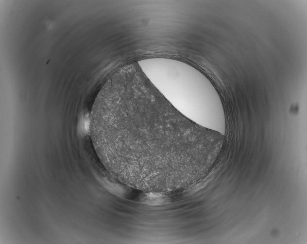 X0000099300095200805231351